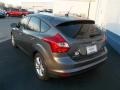 2013 Sterling Gray Ford Focus SE Hatchback  photo #4