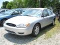 Silver Frost Metallic 2006 Ford Taurus SE Exterior