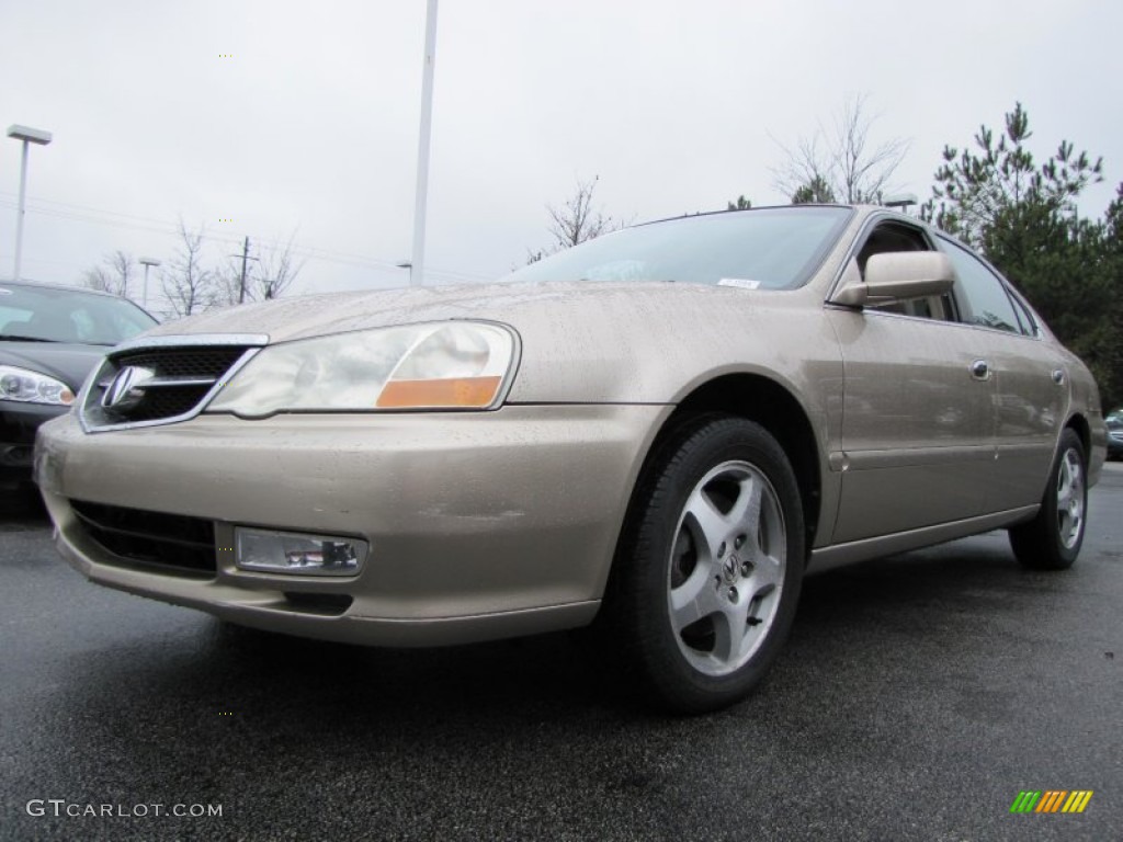 2003 TL 3.2 - Desert Mist Metallic / Parchment photo #1