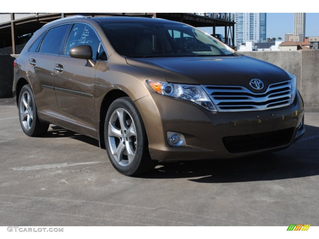 Golden Umber Mica 2009 Toyota Venza V6 Exterior Photo #77454214