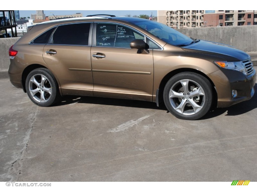 Golden Umber Mica 2009 Toyota Venza V6 Exterior Photo #77454399
