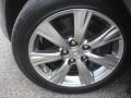 2009 Lexus GS 350 AWD Wheel and Tire Photo