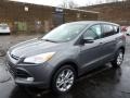 Sterling Gray Metallic 2013 Ford Escape SEL 1.6L EcoBoost 4WD Exterior