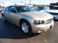 Light Sandstone Metallic - Charger SXT Photo No. 2