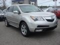 Palladium Metallic 2010 Acura MDX Technology Exterior