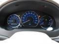 Stone Gauges Photo for 2008 Toyota Sienna #77470161