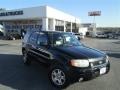 Black 2004 Ford Escape Limited 4WD