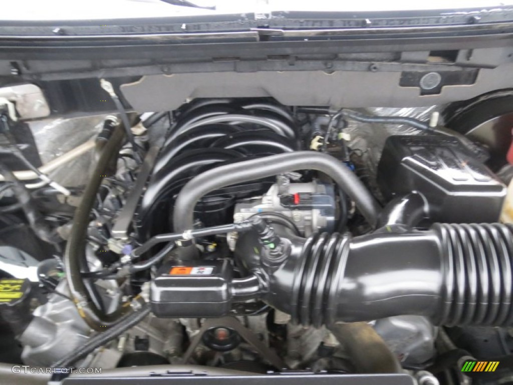 2010 Ford F150 XLT SuperCrew 4.6 Liter SOHC 24-Valve VVT Triton V8 Engine Photo #77472671