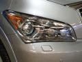 Platinum Graphite - QX 56 4WD Photo No. 38