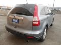 2011 Polished Metal Metallic Honda CR-V SE 4WD  photo #11