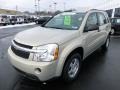 2009 Gold Mist Metallic Chevrolet Equinox LS  photo #7