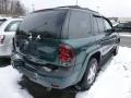 2005 Emerald Jewel Green Metallic Chevrolet TrailBlazer LS 4x4  photo #2