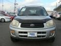 Titanium Metallic - RAV4 4WD Photo No. 2