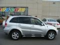 Titanium Metallic 2003 Toyota RAV4 4WD Exterior