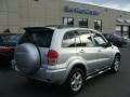 Titanium Metallic - RAV4 4WD Photo No. 4