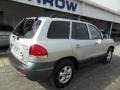 2005 Pewter Gray Hyundai Santa Fe GLS 4WD  photo #8