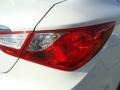 Shimmering White - Sonata GLS Photo No. 21