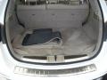 Beige Trunk Photo for 2010 Nissan Murano #77492373