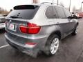 2011 Platinum Gray Metallic BMW X5 xDrive 50i  photo #3