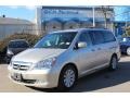 Silver Pearl Metallic - Odyssey Touring Photo No. 1