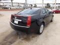 Black Raven - CTS 3.0 Sedan Photo No. 3