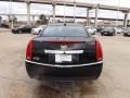 Black Raven - CTS 3.0 Sedan Photo No. 7