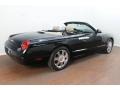 Evening Black - Thunderbird Premium Roadster Photo No. 5