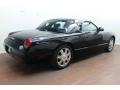 Evening Black - Thunderbird Premium Roadster Photo No. 6
