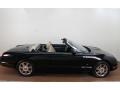 Evening Black - Thunderbird Premium Roadster Photo No. 9