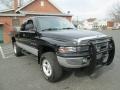 2001 Black Dodge Ram 1500 SLT Club Cab 4x4  photo #10