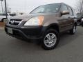 Mojave Mist Metallic - CR-V EX 4WD Photo No. 1