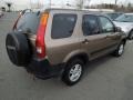 Mojave Mist Metallic - CR-V EX 4WD Photo No. 5