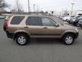Mojave Mist Metallic - CR-V EX 4WD Photo No. 6