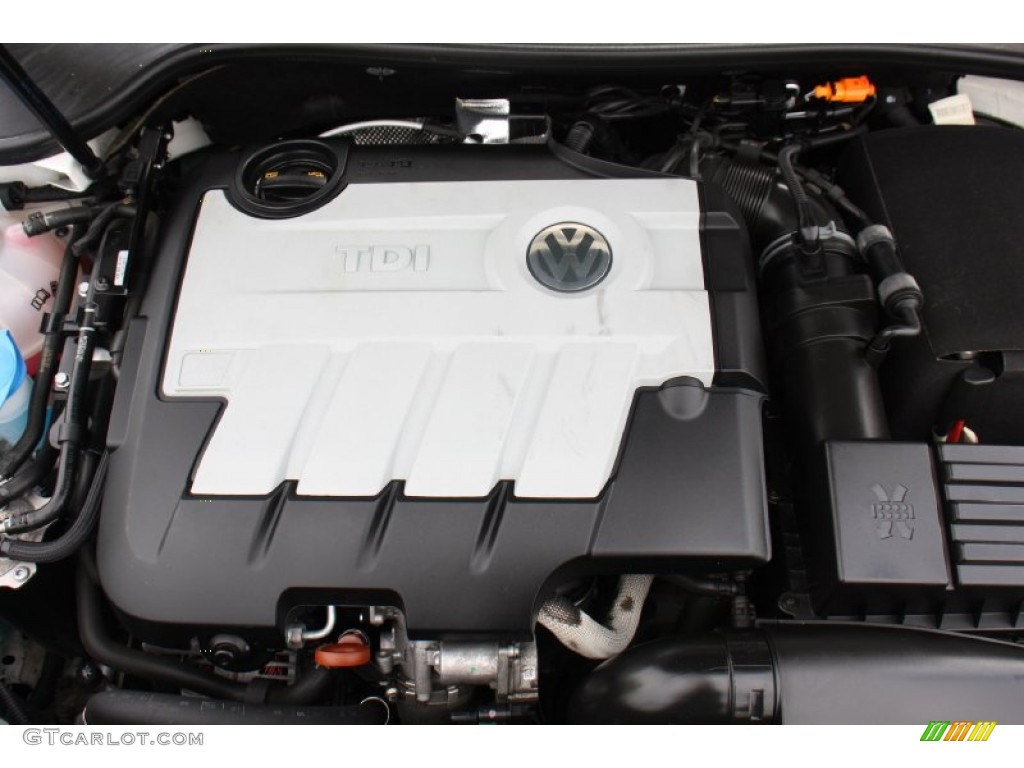 2009 Volkswagen Jetta TDI Sedan 2.0 Liter TDI  DOHC 16-Valve Turbo-Diesel 4 Cylinder Engine Photo #77511103