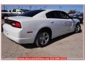 Ivory Pearl - Charger SE Photo No. 6