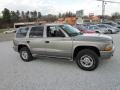 Bright Platinum Metallic - Durango SLT 4x4 Photo No. 2