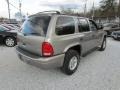 Bright Platinum Metallic - Durango SLT 4x4 Photo No. 5