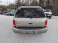 Bright Platinum Metallic - Durango SLT 4x4 Photo No. 6