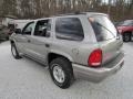 Bright Platinum Metallic - Durango SLT 4x4 Photo No. 7