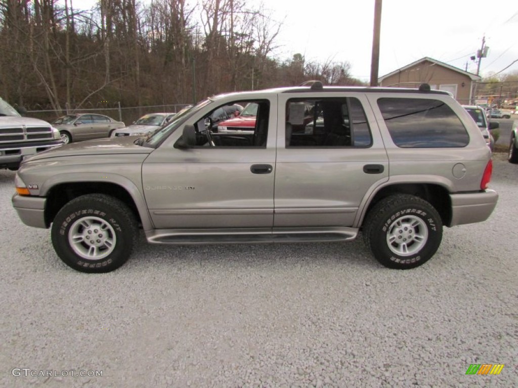 2000 Durango SLT 4x4 - Bright Platinum Metallic / Agate Black photo #9