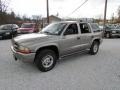Bright Platinum Metallic - Durango SLT 4x4 Photo No. 10