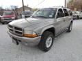 Bright Platinum Metallic - Durango SLT 4x4 Photo No. 11