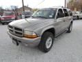 2000 Bright Platinum Metallic Dodge Durango SLT 4x4  photo #11