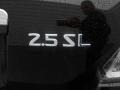 Super Black - Altima 2.5 SL Photo No. 19