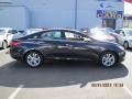 2011 Pacific Blue Pearl Hyundai Sonata SE  photo #1