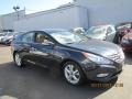 2011 Pacific Blue Pearl Hyundai Sonata SE  photo #2
