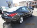 2011 Pacific Blue Pearl Hyundai Sonata SE  photo #6