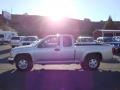 Platinum Silver Metallic - i-Series Truck i-290 S Extended Cab Photo No. 4