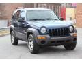 Patriot Blue Pearl - Liberty Sport 4x4 Photo No. 11