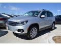 Reflex Silver Metallic - Tiguan SE Photo No. 1